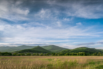 Fototapeta premium Not high mountains covered with green forest and green meadow against a blue sky with clouds
