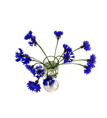 isolated on white close-up bouquet of blue flowers cornflowers