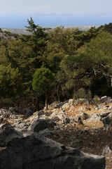 mountainous area rocky vegetation trees clouds sky
