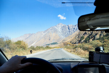 Tbilisi, Georgia - October 25, 2019: Car vindow, hand of woman on steering wheel and view to the road and autumn mountain landscape