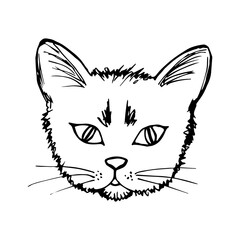 Hand-drawn simple vector sketch with black outline. Muzzle, head of a tousled cat on a white background. Animals, homeless, domestic animals. For prints, stickers, labels.