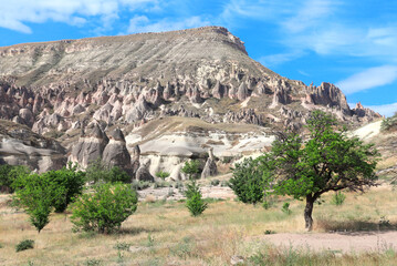 Fairy Chimney or Multihead stone mushrooms, Cappadocia, Turkey