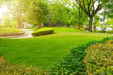 Fototapeta na wymiar Garden of smooth green grass lawn, trees with supporting, shrub in a good maintenance landscape in park, gray curve pattern walkway, sand washed finishing on concrete paving, flower base on the left