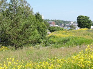 Meadow and houses, Suomenlinna, Finland