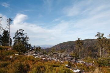 Krajobraz g&oacute;rski