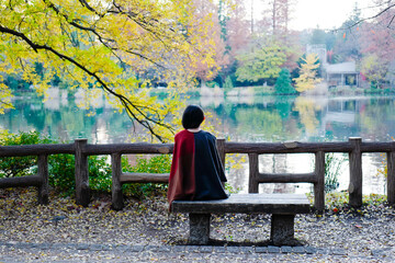 後ろ姿の女性、秋の風景