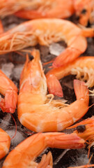 fresh shrimps on ice closeup. macro shot