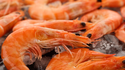fresh shrimps on ice closeup. macro shot