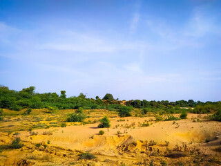 Green trees and blue skies with beautiful landscape sand