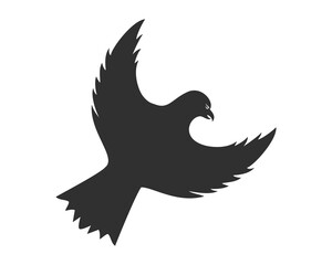 Eagle spy and secure