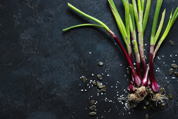 purple spring onions on dark table background