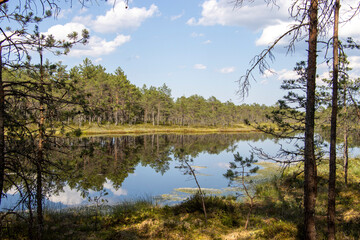 Beautiful swamp lake. Clouds reflections on the water