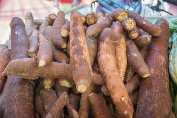 A pile of Cassava roots (Manihot esculenta), a major source of carbohydrates, presented for sale in...