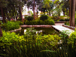 Green Park with a beautiful lake