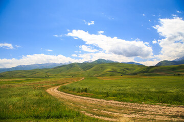 Fototapeta na wymiar Beautiful spring and summer landscape. Mountain country road among green hills.