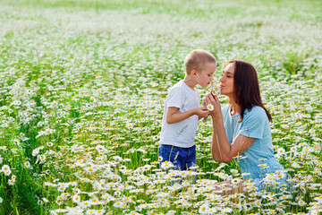 A mother is having fun with her son in a blooming field of daisies. Enjoy the aroma of a bouquet of camomiles. The concept of natural.