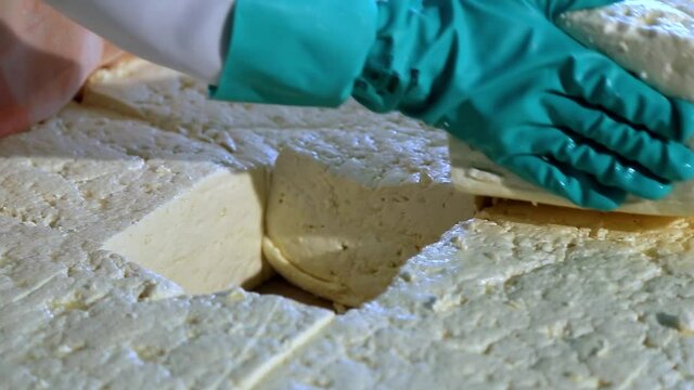 The process of producing tasty traditional white cheese at its final stage before picketing. Cheese cubes.