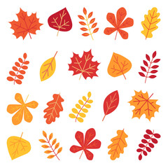 Autumn leaves set isolated on white background
