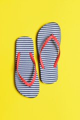 Stylish flip-flops on color background