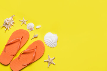 Stylish flip-flops and sea shells on color background