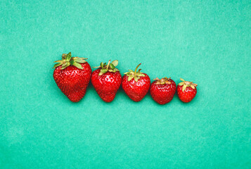 Fresh ripe strawberry on color background