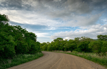 Fototapeta na wymiar road in the countryside among the forest and against the sky with clouds