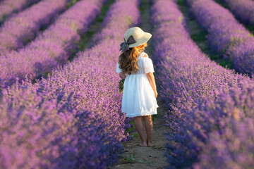 A child in lavender. Beautiful girl in a field with lavender.