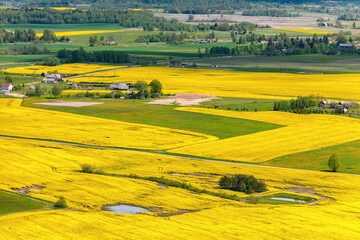 Obraz premium aerial view over the rural fields in spring