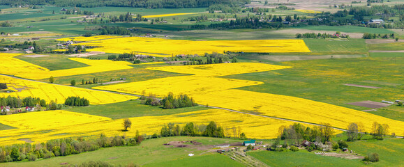 Obraz premium aerial view over the rural fields in spring