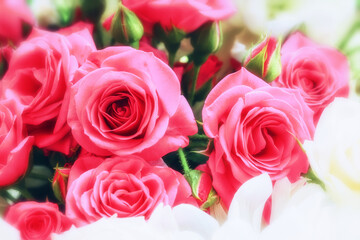 Pink roses bouquet close-up. Background of roses in pastel colors with a soft, blurred focus.