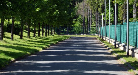 Asphalt avenue in the Park with rhythm of trees shadows on road.