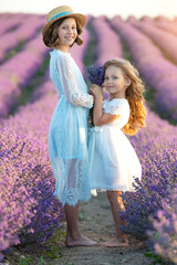 A child in lavender. Beautiful girl in a field with lavender.