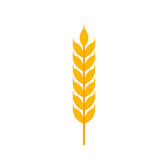 Wheat ear flat, Golden wheat ears icon, vector illustration isolated on white background