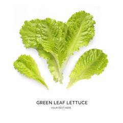 Creative layout made of lettuce salad on the white background. Flat lay. Food concept.