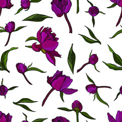 Peonies flowers in hand drawn style. Stock illustration. Seamless pattern on  white background. Endless texture for your design.