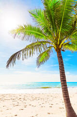 Beautiful tropical white beach and coconut palm tree.