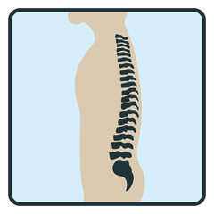 Spine backbone bone, x-ray concept icon, roentgen human body image isolated on white, flat vector illustration. Skeleton part of man organism.