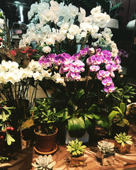 Flower Shop in New York