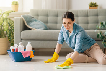 woman doing cleaning the house.
