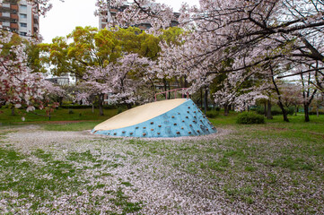 滑り台の周辺に落ちた桜の花びら