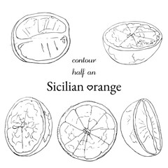 set of contour half an sicilian orange