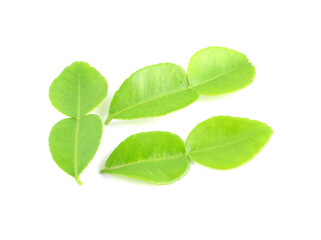 Bergamot leaf on white background