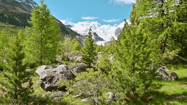 Malerische Fr&uuml;hlingslandschaft am Morteratschgletscher im Engadin, Schweiz