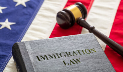 Judge gavel and Immigration Law book on United States of America flag. - obrazy, fototapety, plakaty