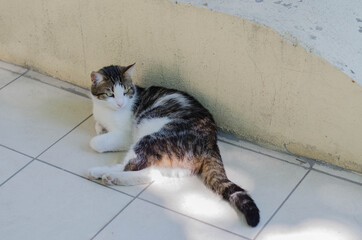 Fototapety na wymiar - Fototapeta24.pl