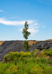 Dumps of waste rock in coal mining
