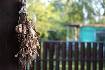 Old oak broom hanging on the bathhouse wall. Russian wooden bathhouse on the village.