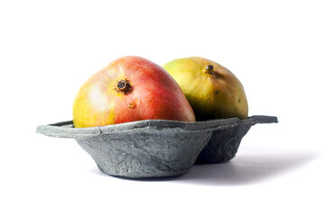 Two fresh ripen mango in a grey container on white isolated background. Fresh fruit industry concept.