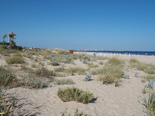 D&uuml;nen und Strand von Meia Praia nahe Lagos Algarve Portugal