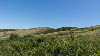 Fototapeta premium Summer landscape. Green hills and blue sky.
